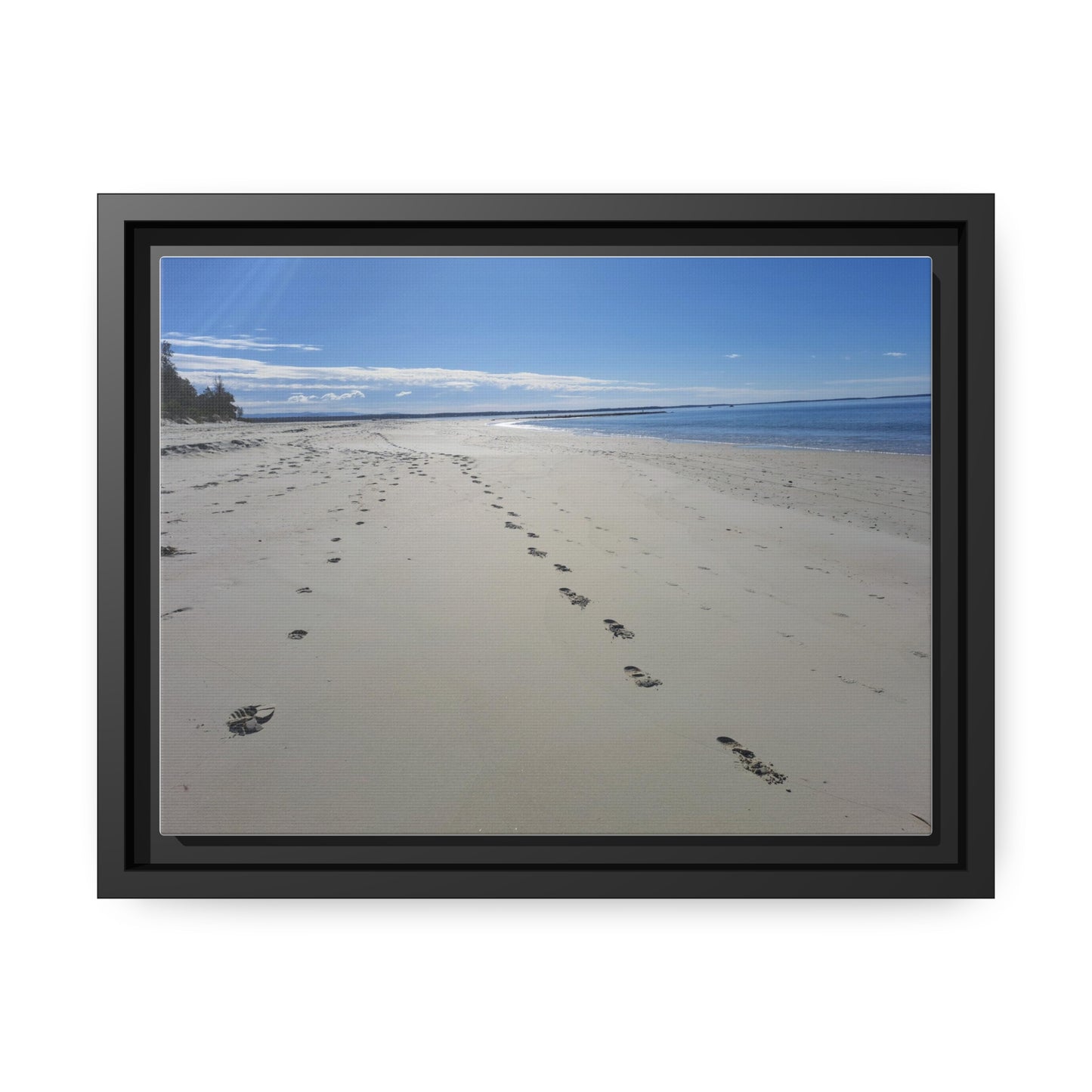 Footprints (framed canvas)