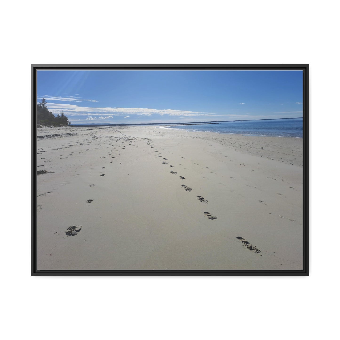 Footprints (framed canvas)