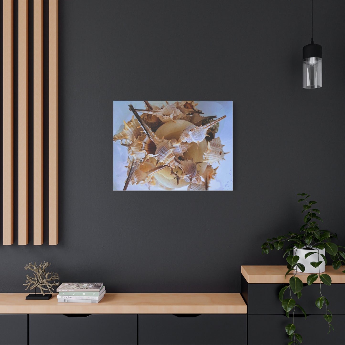 Shells (canvas)