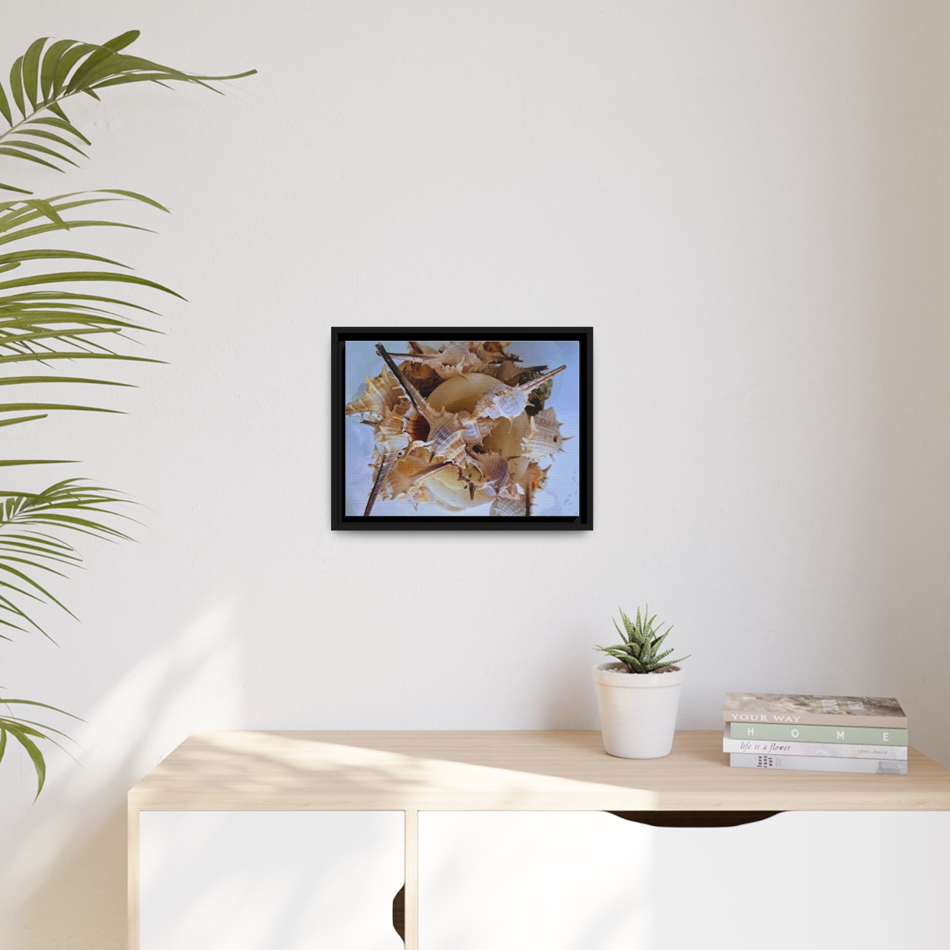 Shells (framed canvas) - Love Ya Wall Art